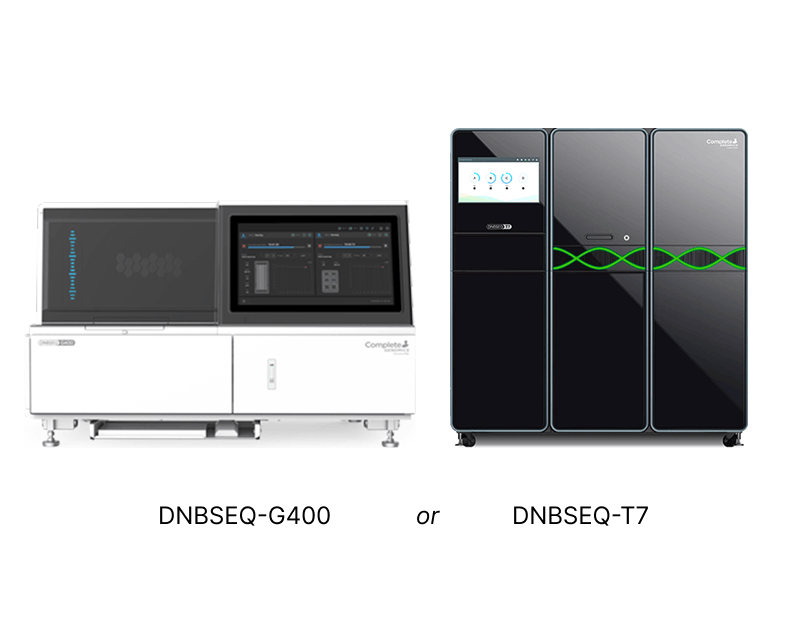 Complete Genomics STOmics
