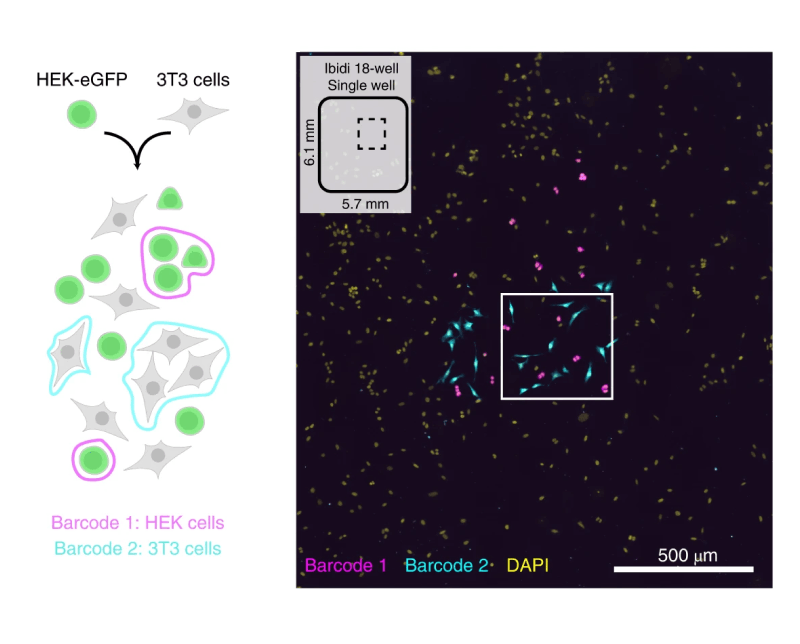 DigitBio