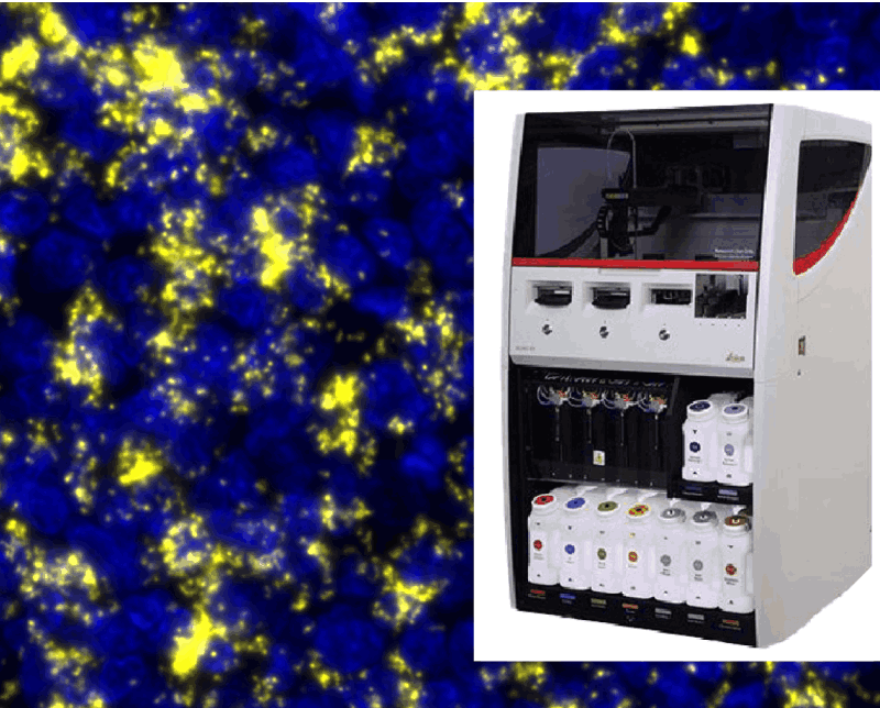 Leica Microsystems