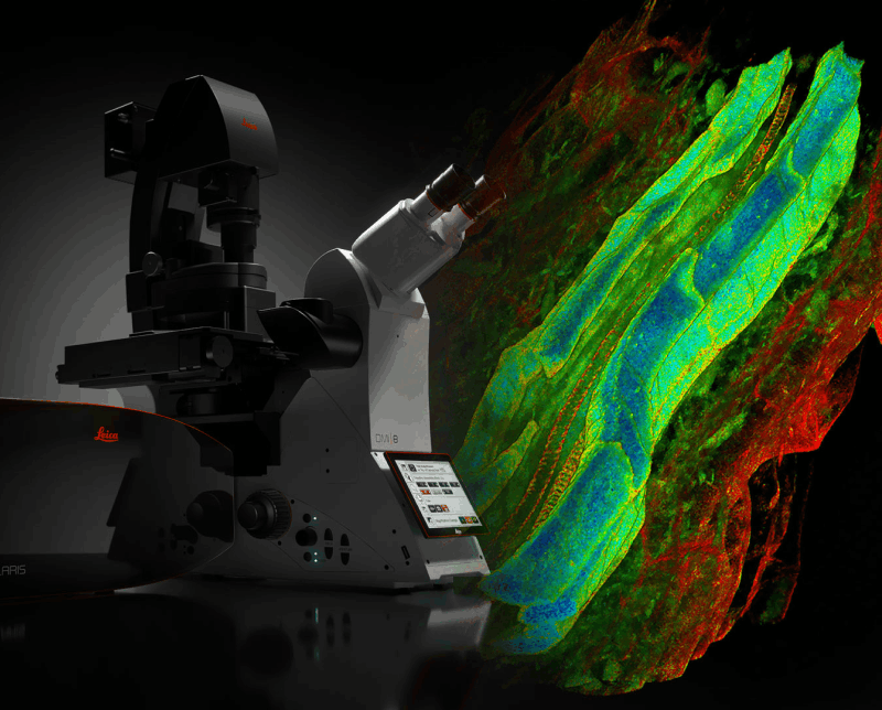 Leica Microsystems